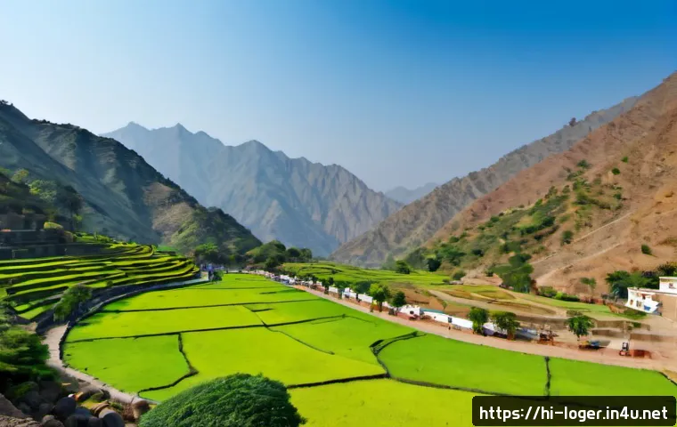 लॉजिस्टिक्स करियर के लिए जरूरी कौशल: प्रमाणन की तैयारी से लेकर WMS और लागत नियंत्रण तक 4 물류관리사 자격증과 관련된 필수 기술 관련 이미지 2